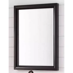 Signature Hardware Talyn 30 in. Rectangular Vanity Mirror in Black