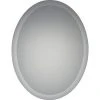 Quoizel Reflections 28 x 22 in. Frame Oval Mirror