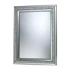 Elk Home Sardis 39 in. Decorative Mirror in Brushed Steel and Clear