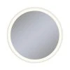 Robern Vitality 30 in. 2700K Anodized Aluminum Frameless Round Mirror with Light Perimeter