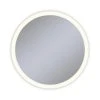 Robern Vitality 40 in. 2700K Anodized Aluminum Frameless Round Mirror with Light Perimeter