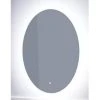 Signature Hardware Fahlman 19-3/4 in. Oval Lighted Mirror with Tunable LED in Silver