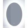 Signature Hardware Fahlman 23-5/8 in. Oval Lighted Mirror with Tunable LED in Silver