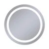 Robern Vitality 30 in. 4000K Anodized Aluminum Frameless Round Mirror with Light Inset