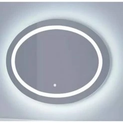 Signature Hardware Ritchie 27-5/8 in. Oval Lighted Mirror with Tunable LED in Silver